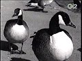 Swayzak - Speedboat