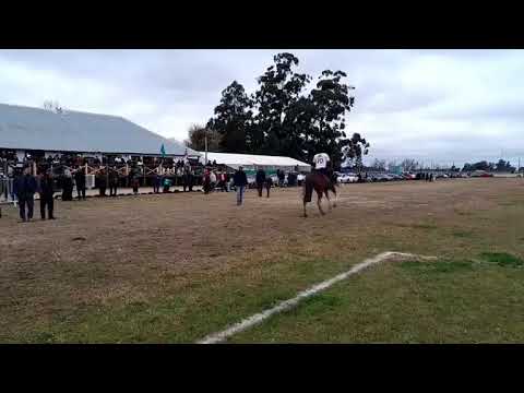 Raid para niños y raid sobre 8 km - Centauro Polo Club - Melo, Cerro Largo 11/07/2026