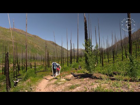 Rise and Fly Productions  and Rocky Mountain Antlers