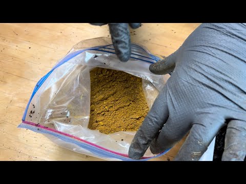 100 Red Wiggler Bin Check In Plus Using Dehydrated Veggies in the Worm Bin