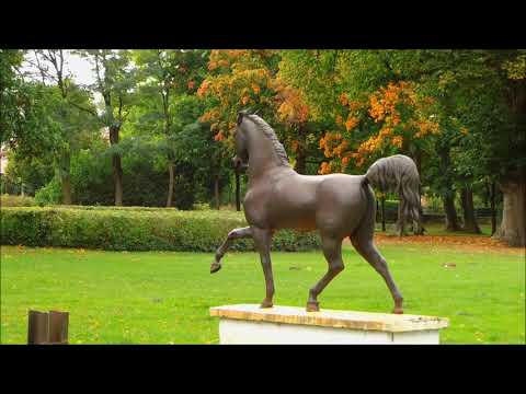 Eine Einladung auf das Landgestüt Redefin