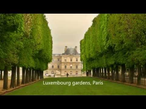 Didier Boutteville Kraemer - Le jardin du Luxembourg