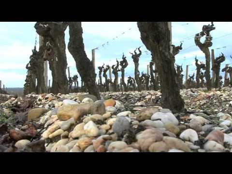 Château Rieussec - Lafite Rothschild video