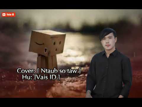 Vais ID - Cover [ ntaub so taw ]