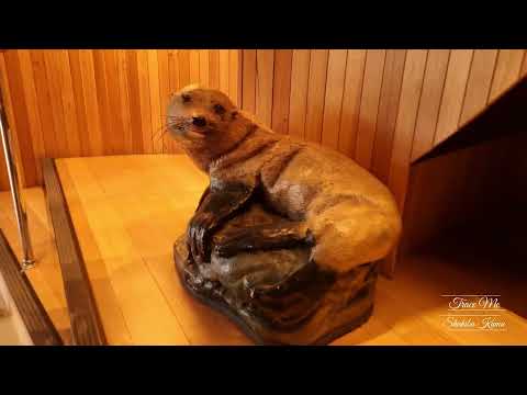 Teaser | Pennicott Wilderness | Bruny Island Cruises | Tasmania