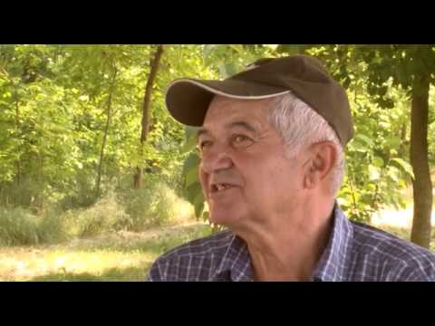 Lovačka priča (Jelenska divljač) - Lovački saveti