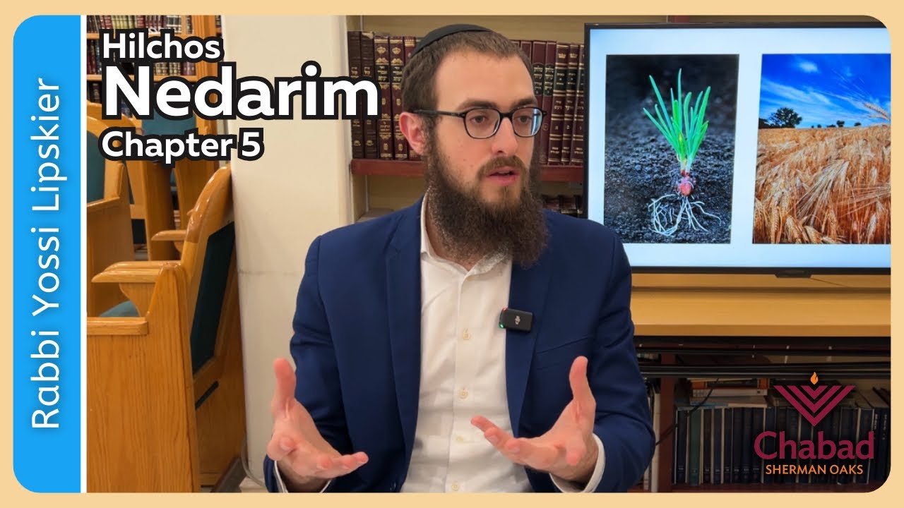 Rambam Hilchos Nedarim Chapter 5 • Rabbi Yossi Lipskier