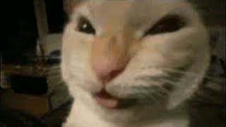 among ass con panitas #1