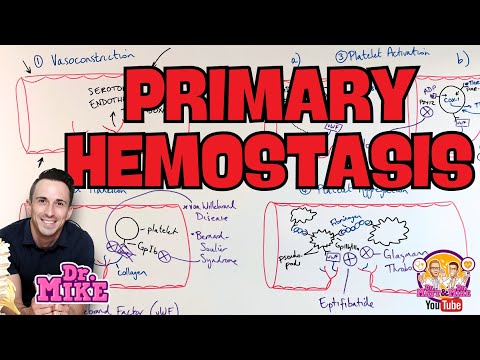 Primary Hemostasis | Physiology, Pathophysiology, and Pharmacology