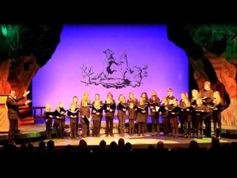 Lütt Matten de Haas