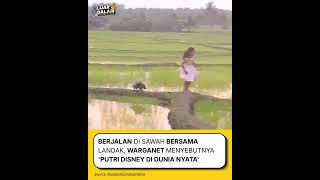 Download lagu Lucunya Landak Ngikutin Gadis Kecil di di Pematang Sawah #disneyland mp3