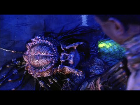 お前はブスだな｜プレデター2 (You are one ugly motherfucker | Predator 2)