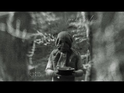 Ols - proch kość liść [MUSIC VIDEO]