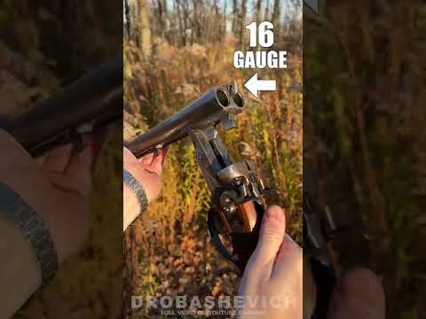 Old double-barreled shotgun #shorts #gun #shotgun #review #weapon #usa #12gauge #hunting #ussr