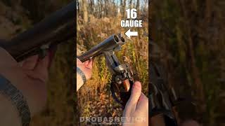 Old double-barreled shotgun #shorts #gun #shotgun #review #weapon #usa #12gauge #hunting #ussr