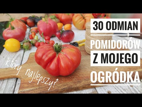 , title : '30 odmian pomidorów. Jak uprawiać pomidory. Ogród ekologiczny uprawa warzyw | www.Kasia.in'