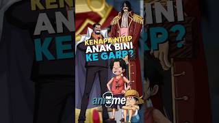 Download lagu β When the Pirate King Chooses His Enemy to Keep His Own Blood #onepiece #luffy #garp mp3 Download lagu β When the Pirate King Chooses His Enemy to Keep His Own Blood #onepiece #luffy #garp mp3