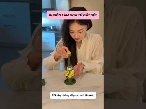 Món đồ chơi mới của vợ tôi