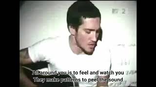 Moments Have You - John Frusciante (video with lyrics)