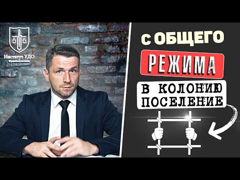 Апелляционная жалоба на приговор по ст264 удовлетворена. Перевод с общего режима в колонию-поселение