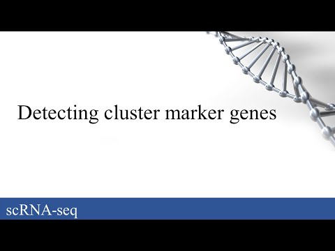 scRNA-seq: Detecting cluster marker genes