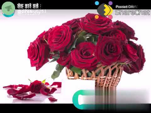 Happy birthday video