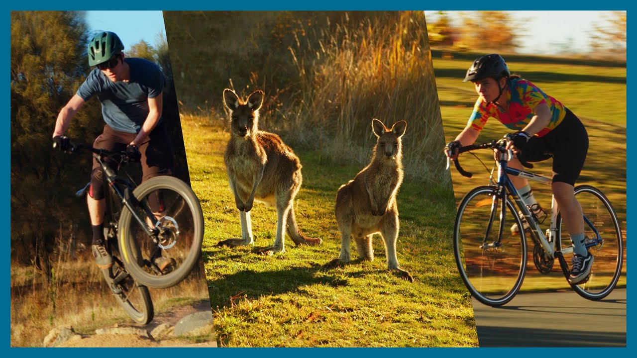 Discover the highlights of Stromlo Forest Park.