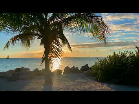 MARC Ida Hallquist-Drowning (remix Ep Out Now)