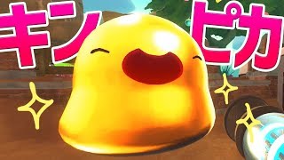 成金っぽい？ゴールデンゴルド #35【Slime Rancher】スライムランチャー 実況