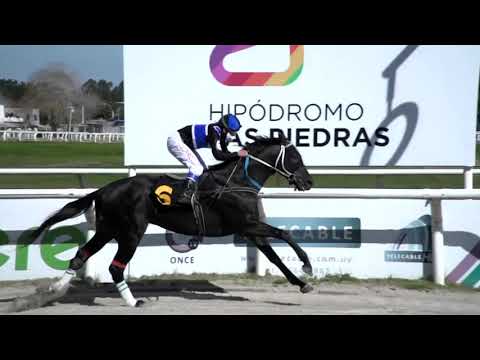 210813 c03 - MECHA BRANCA (BRZ) - HIPODROMO LAS PIEDRAS