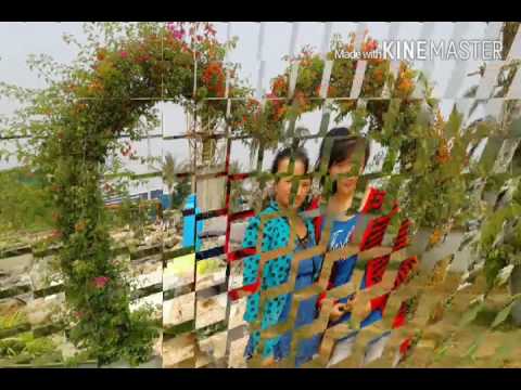 maiv xis hawj txhawb pom koj hauv Facebook