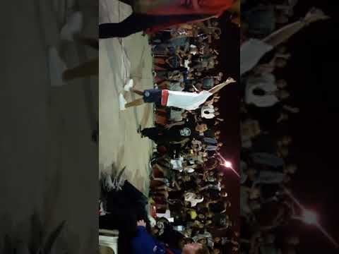 Litzen Papaletta VS Black Code Solyc