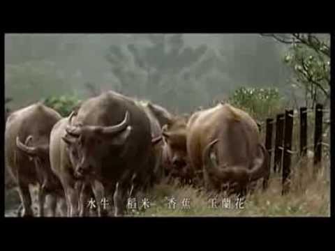 Ilha Formosa: Beautiful Island Taiwan (English Subtitles)