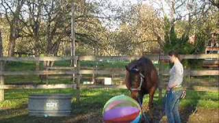 A Study on Positive and Negative Reinforcement