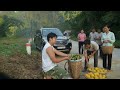 From City CEO To Forest Life He Picks Wild Fruits And Builds A Free Simple Future Triệu Khang