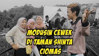 Tamanbungashinta Instagram Photos And Videos Yumpikcom