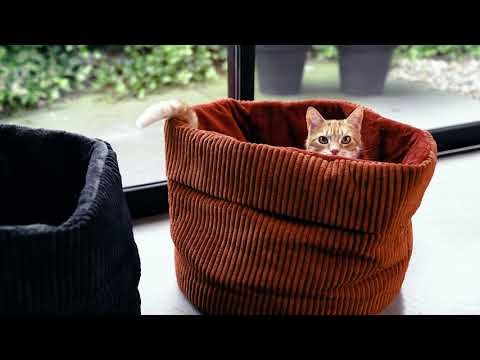 Designed by Lotte Katzenkorb Ribbed