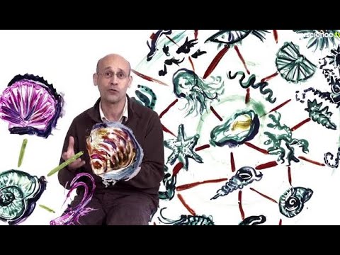 Tristan Renault et les fruits de la mer