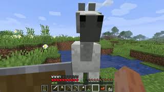 【Minecraft】ちゃんけいのマインクラフト日記 9日目 魚釣りと新しい友達！