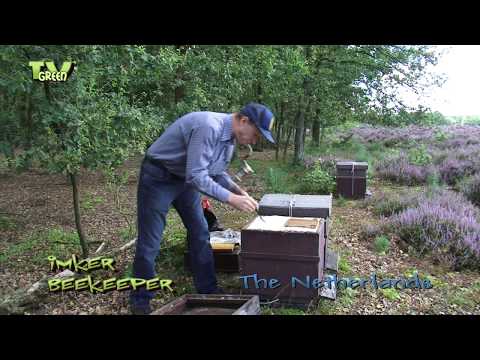 Imker - Beekeeper - Nederlandse heidehoning