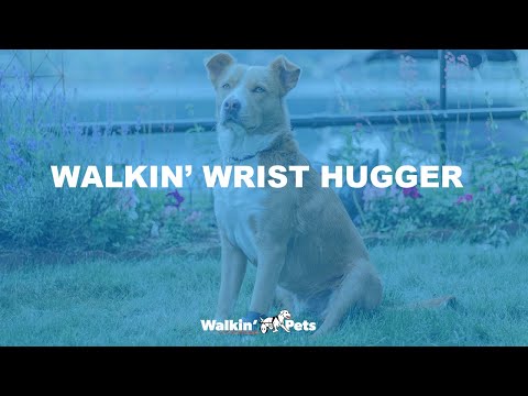 Walkin' Wrist Hugger - Wrist Support for Pets!