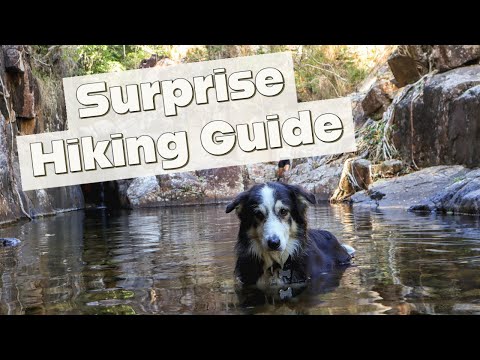 PALUMA NATIONAL PARK + HIKE SURPRISE