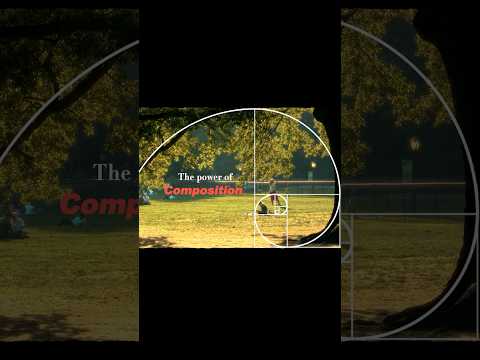 The Power of Composition