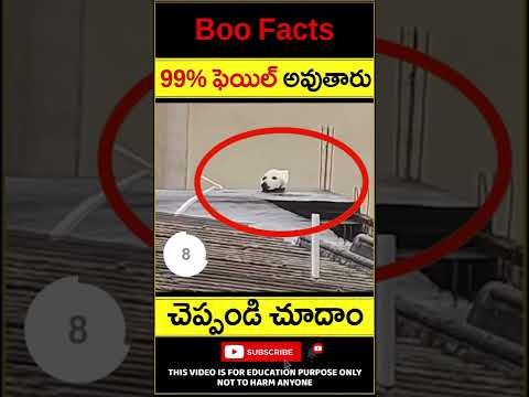 99% ఫెయిల్ అవుతారు - Riddles for Children - Guess what is in the image