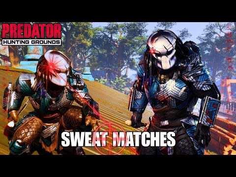 Predator Hunting Grounds – Sweat Matches vs Hardcore Fireteams! Berserker Predator Gameplay