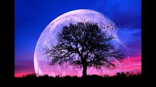 432Hz Healing Sleep Music ➤ Fall Asleep Fast and Easy | Healing Sleep Patterns | Relax &amp; Feel Safe