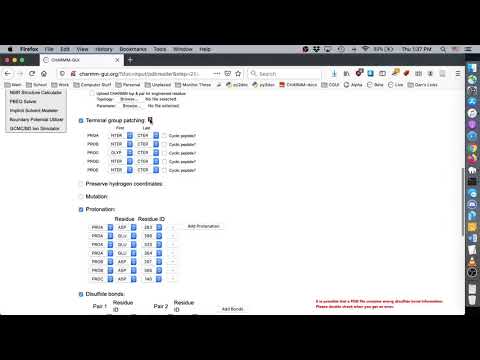 AMBER FF Tutorial 3 - Changing Protonation State with PDB2PQR and reading AMBER FF residues (6IYC)
