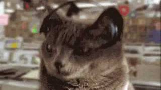 Alexander Marcus - 1,2,3 [ Funny Pic&#39;s Mix ]