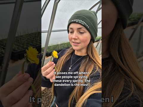 Stop destroying this plant ✋️