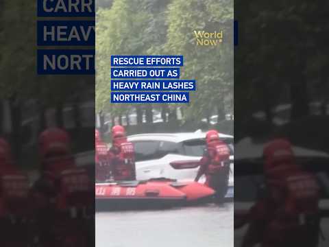 Rescue efforts carried out as heavy rain lashes northeast China #worldnow